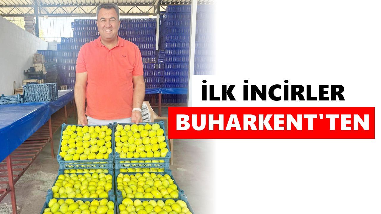 Buharkent