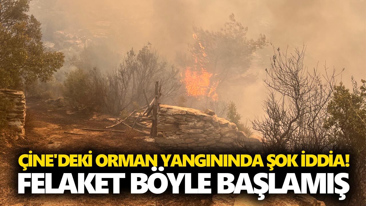 Çine'deki orman yangınında şok iddia! Felaket böyle başlamış