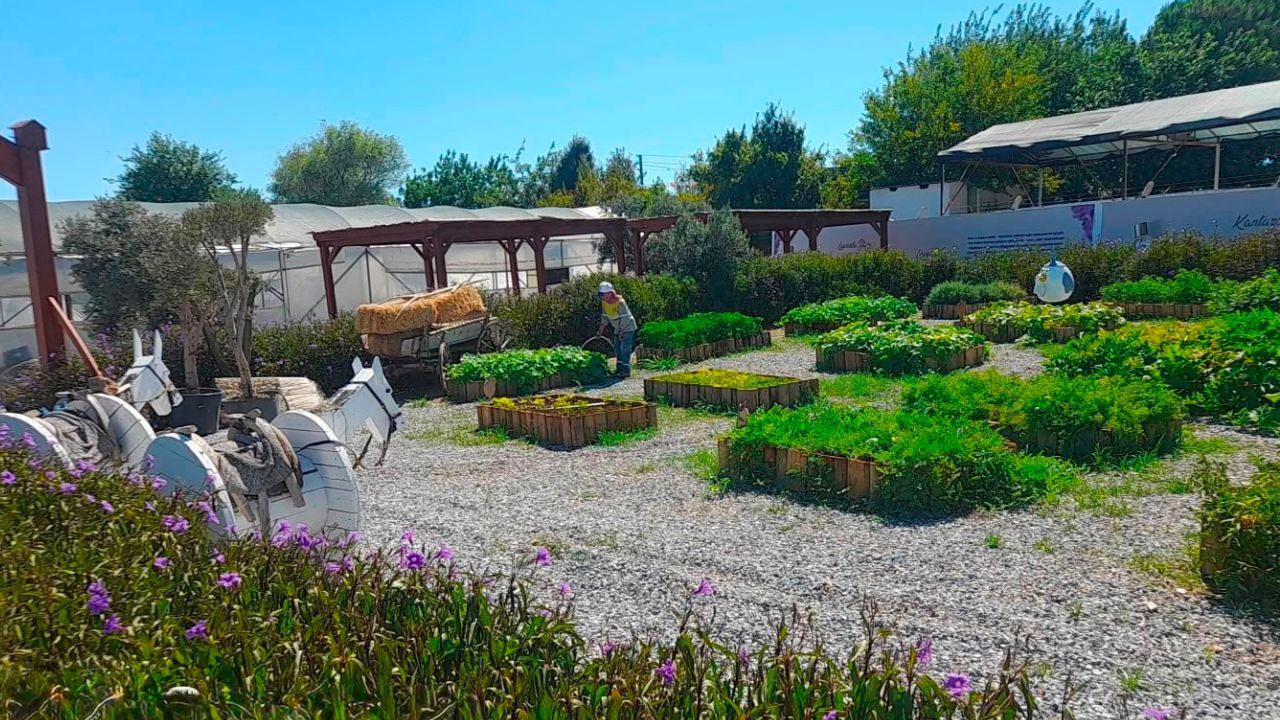 Didim Belediyesi Üretimde Vites Yükseltti! Fidanlıktan Sofralara Uzanan Model3