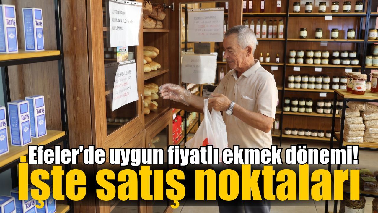 Efeler