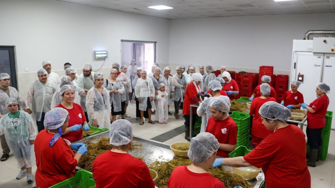 Efeler’de Üretimin Kapıları Özel Öğrencilere Açıldı5