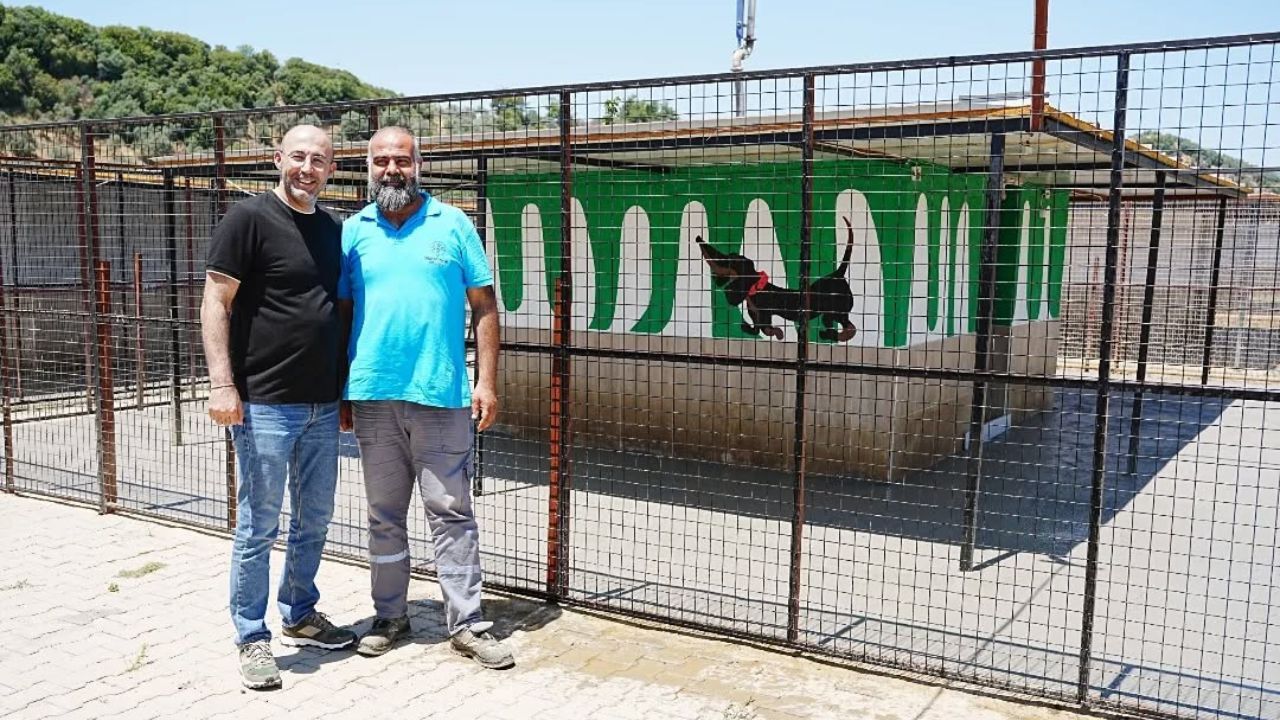 Germencik'te Dikkat Çeken Hayvan Barınağı Hamlesi1