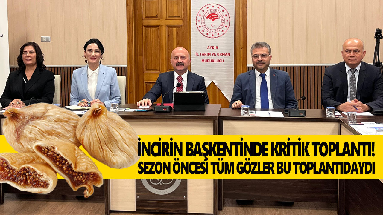Aydın'dan dünyaya 42 bin ton! İncirde kritik sezon öncesi zirve