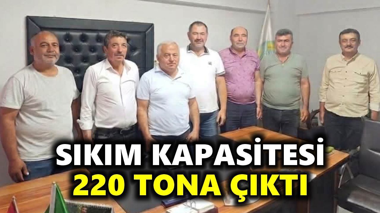 Karacasu'da zeytin üreticisine güçlü yatırım