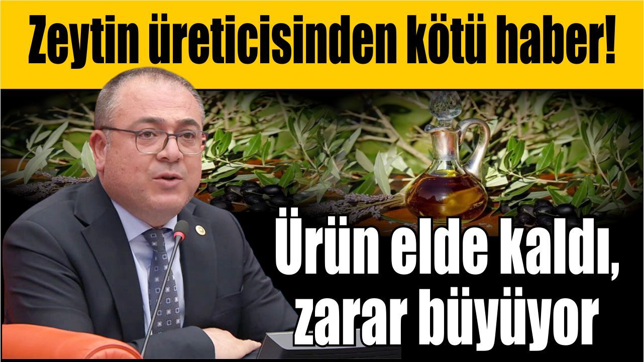 Karakoz’dan sert uyarı: “Zeytin ve zeytinyağı sektörü çöküşte”