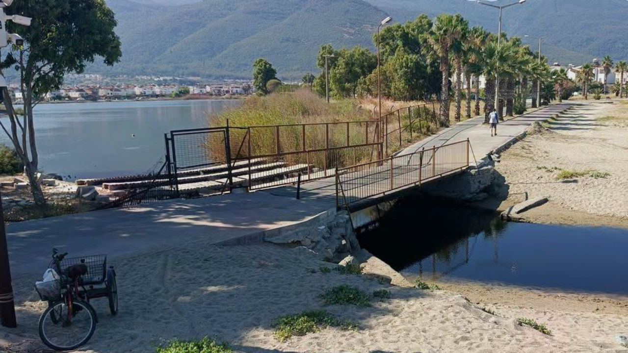Kuşadası'nın Son Sulak Alanı Alarm Veriyor!3
