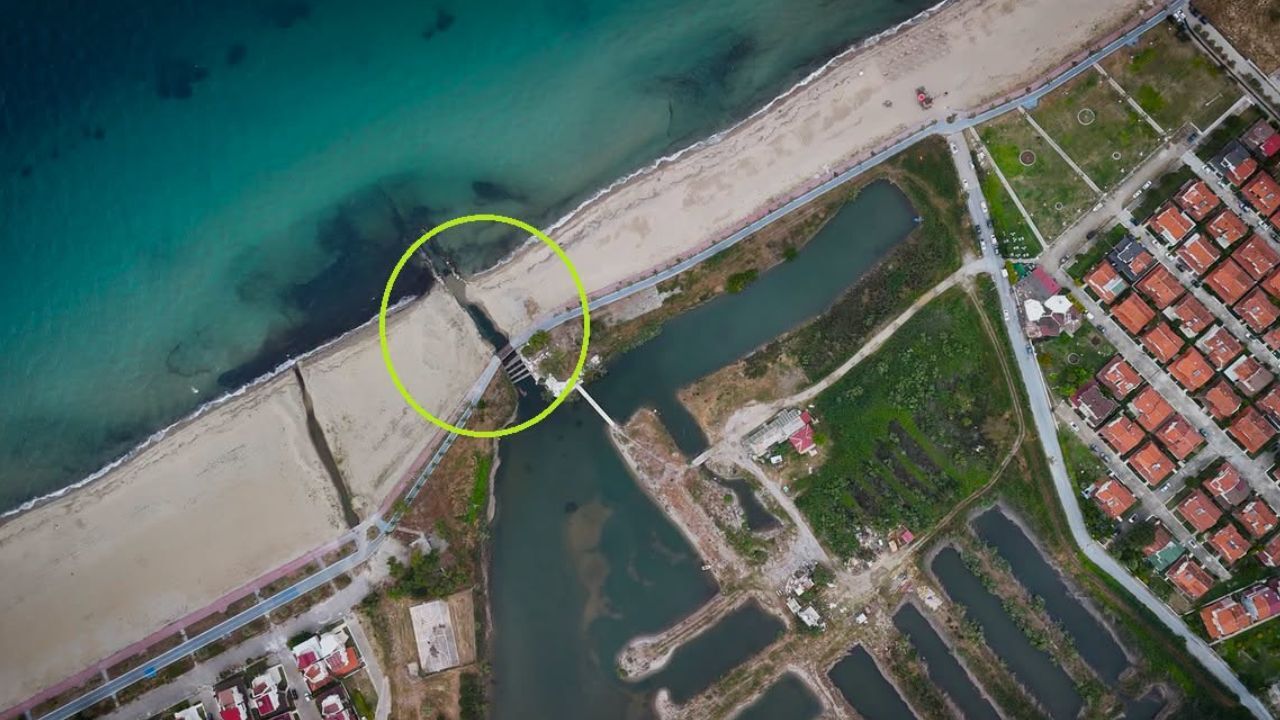 Kuşadası'nın Son Sulak Alanı Alarm Veriyor!5
