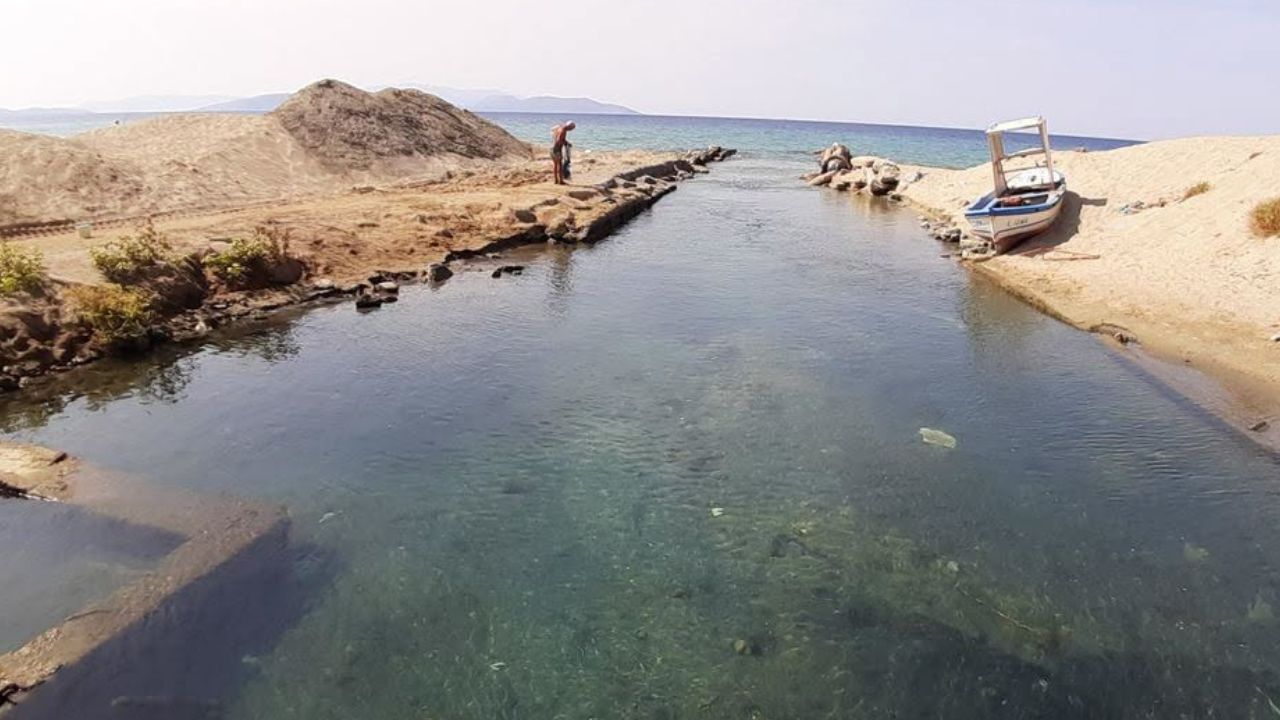 Kuşadası'nın Son Sulak Alanı Alarm Veriyor!6