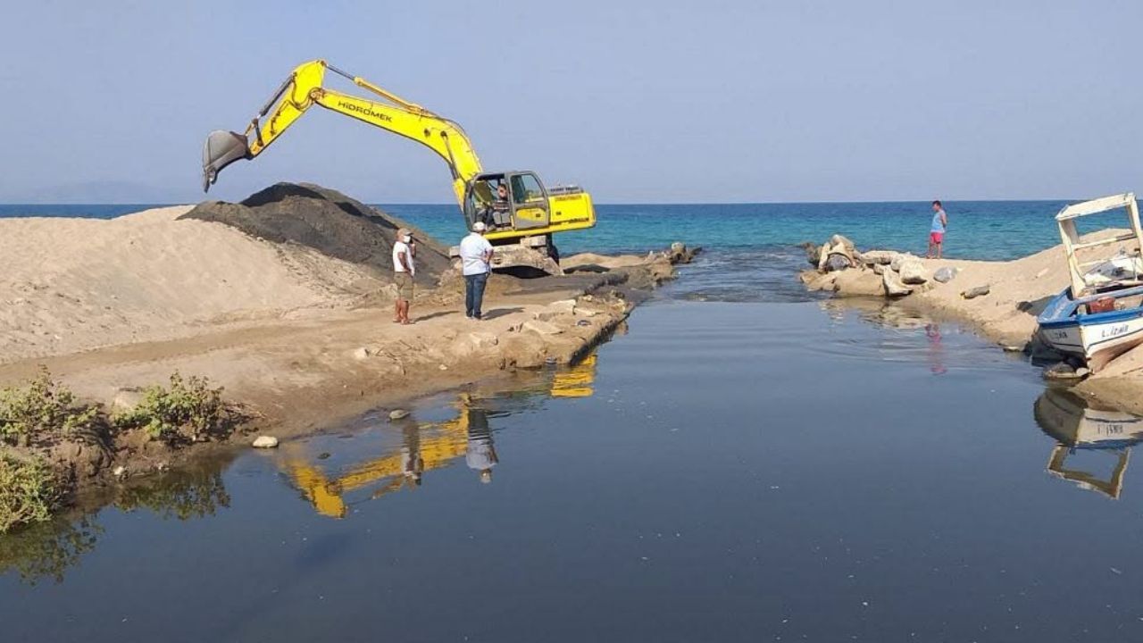 Kuşadası'nın Son Sulak Alanı Alarm Veriyor!8