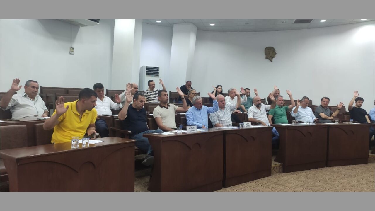 Nazilli'de Sokak Hayvanları Sorunu Çözülüyor 2