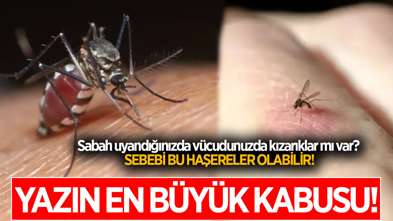 SAĞLIK