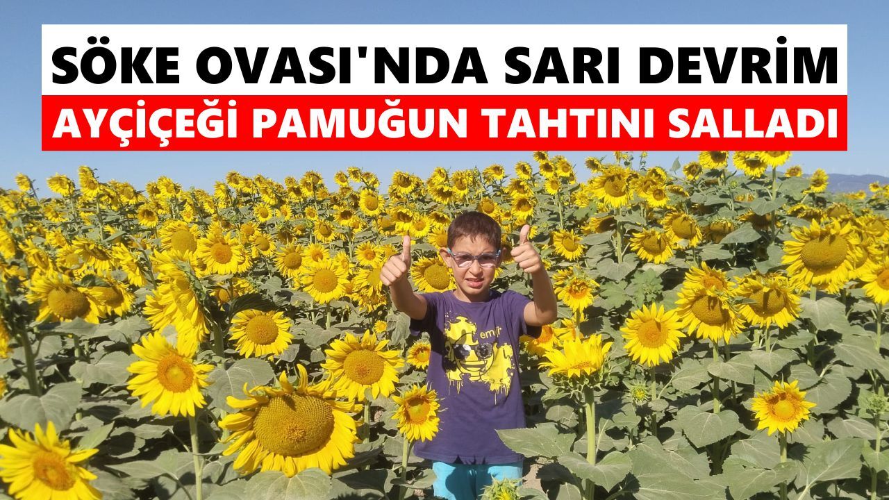 Söke