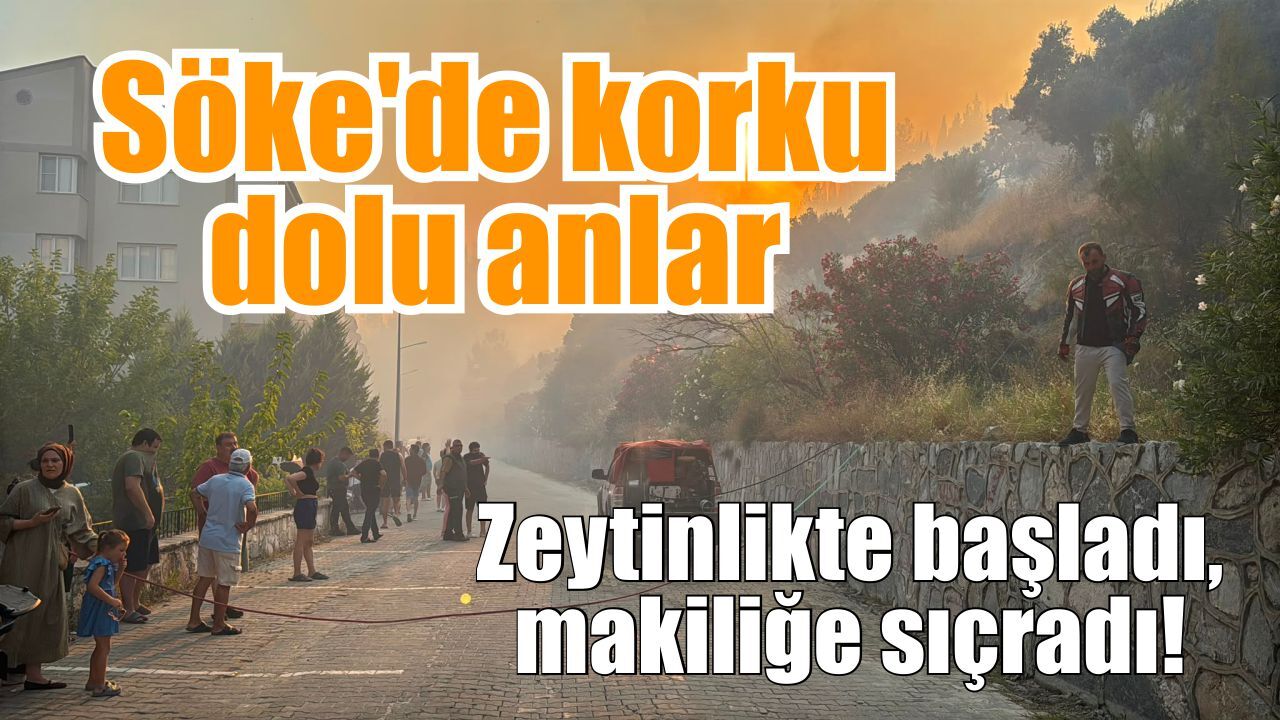 Söke