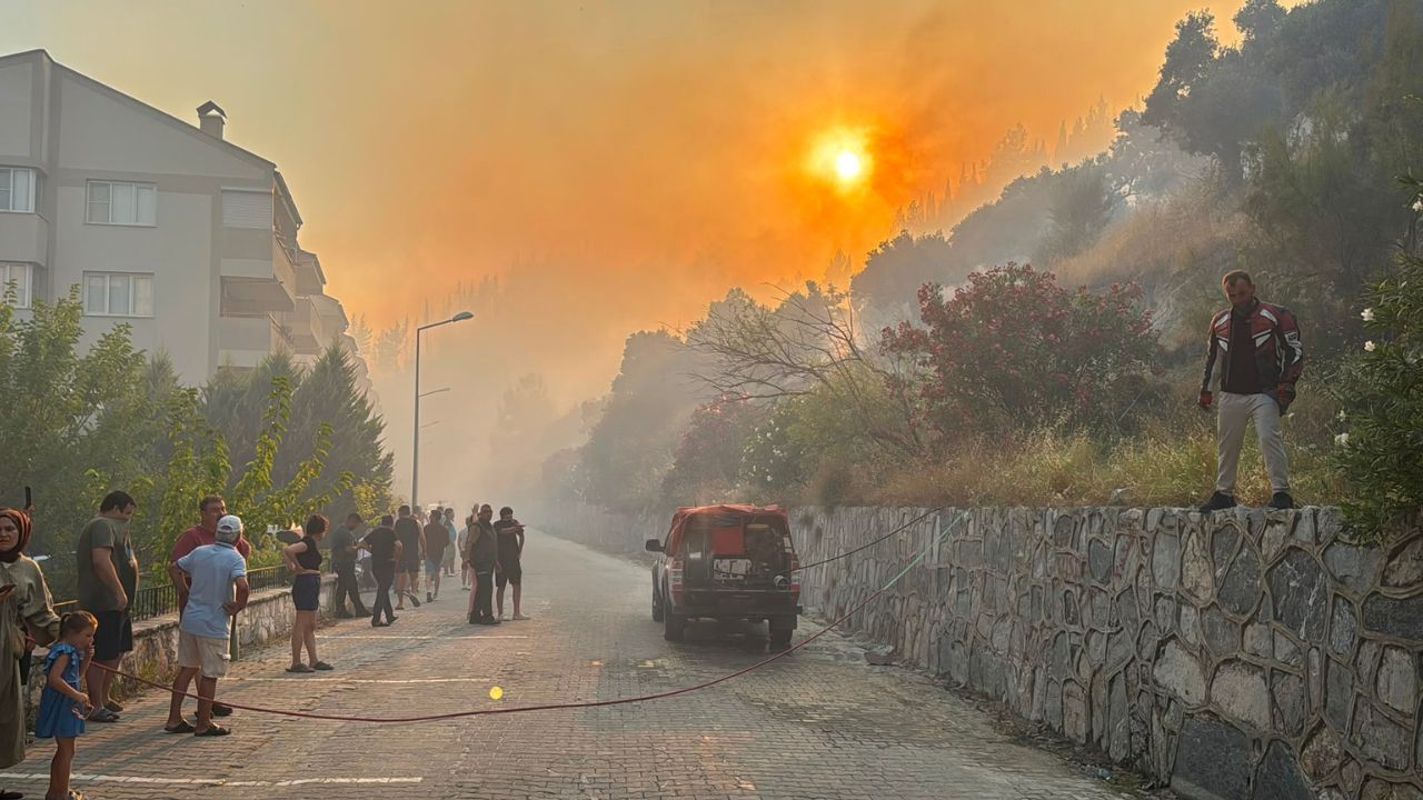 Söke'de Zeytinlik Alevlere Teslim Oldu!1