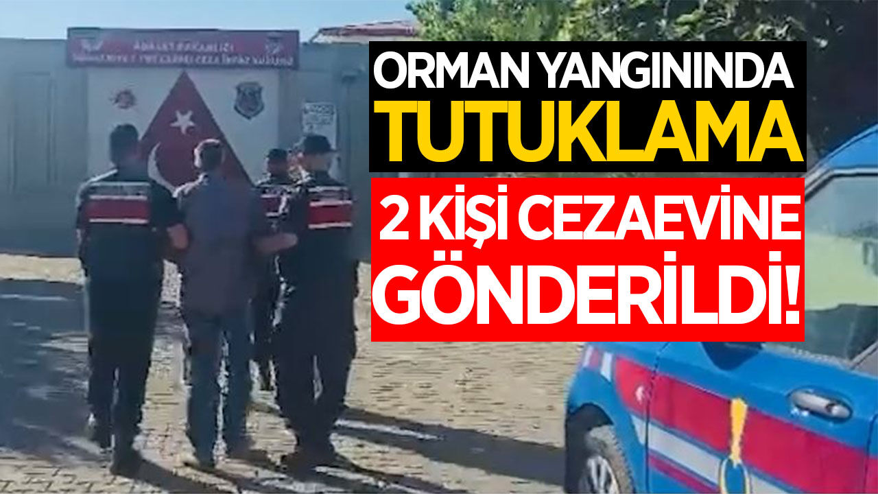 Orman yangınıyla ilgili gözaltına alınan 2 kişi tutuklandı!