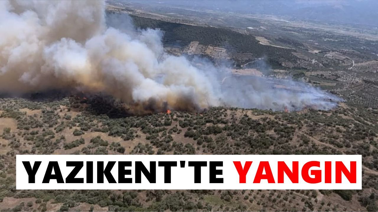 Bozdoğan Yazıkent'te yangın
