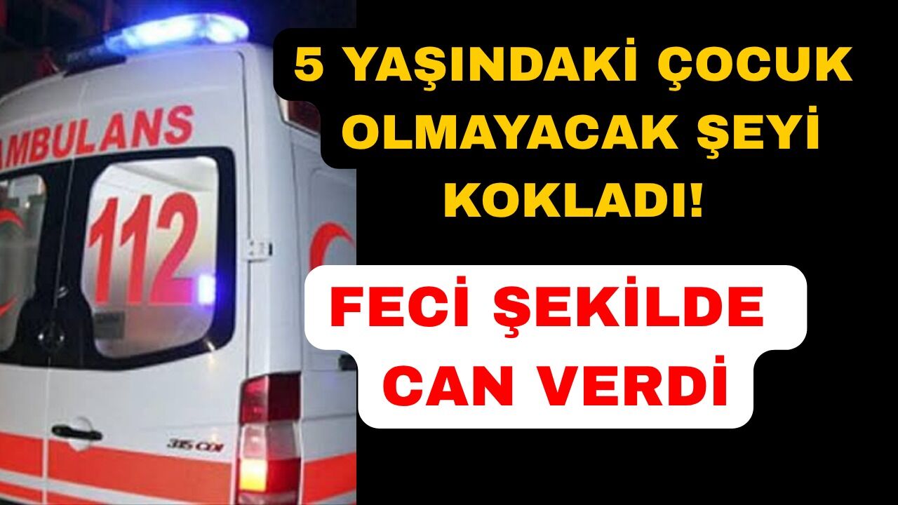Asayiş