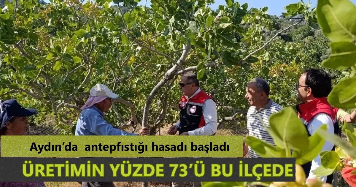 Yenipazar