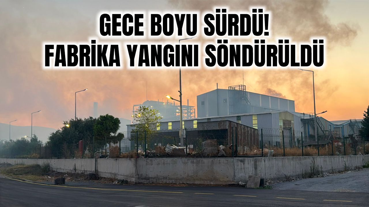 Söke