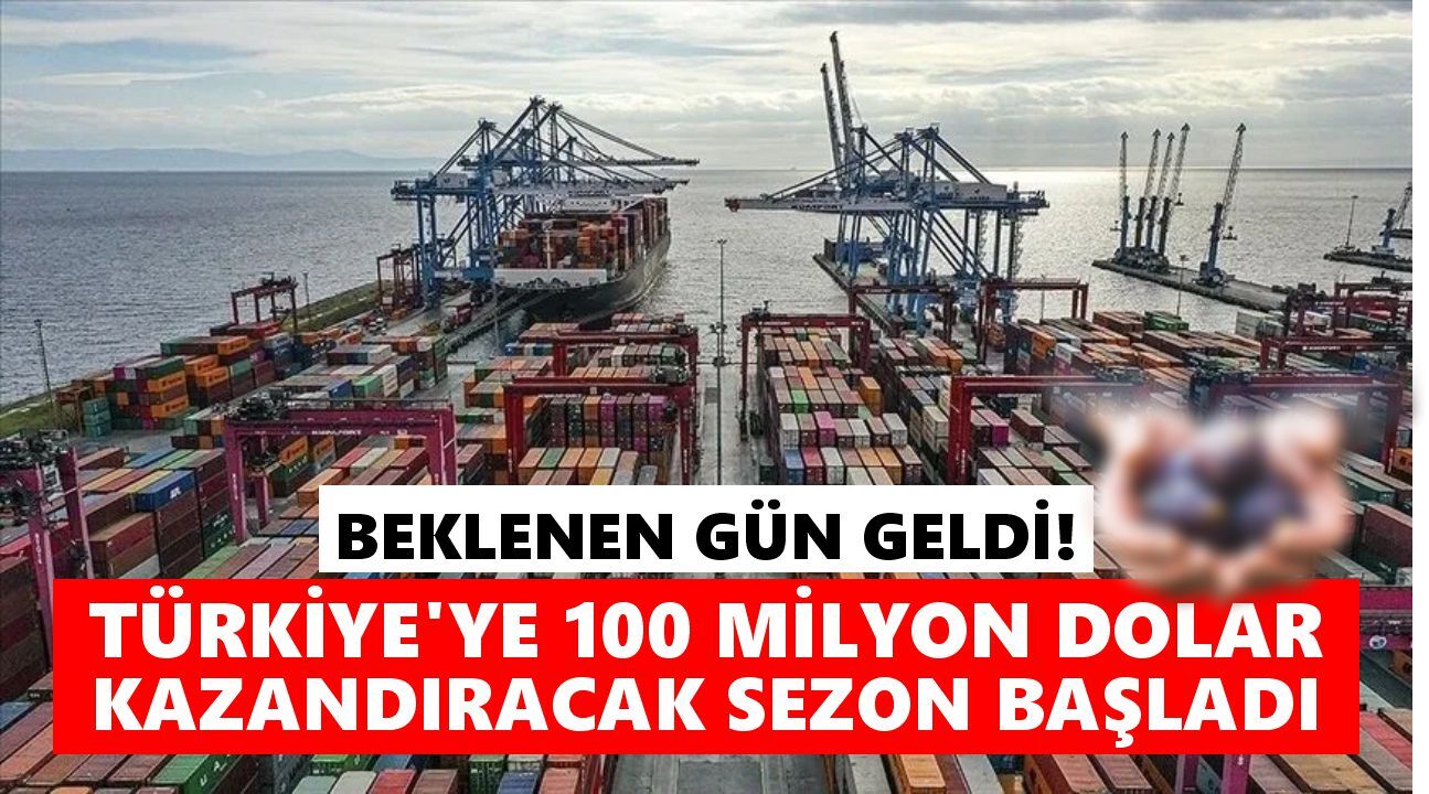 Aydın