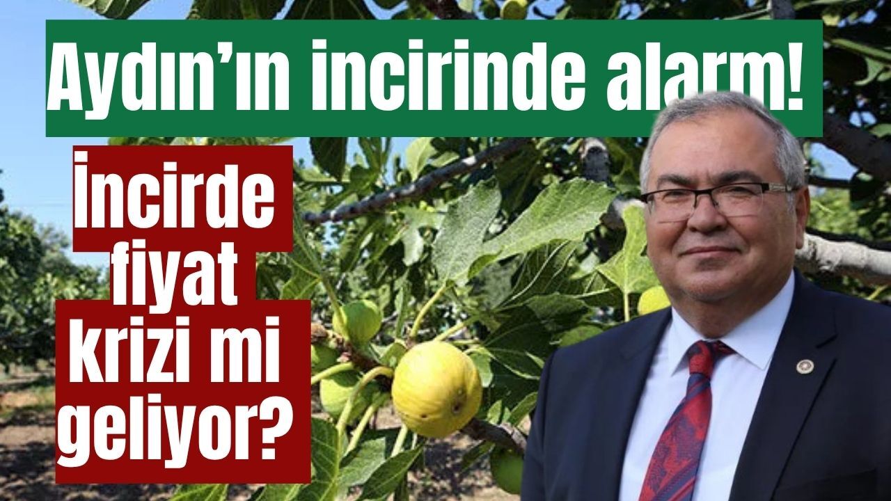 Aydın