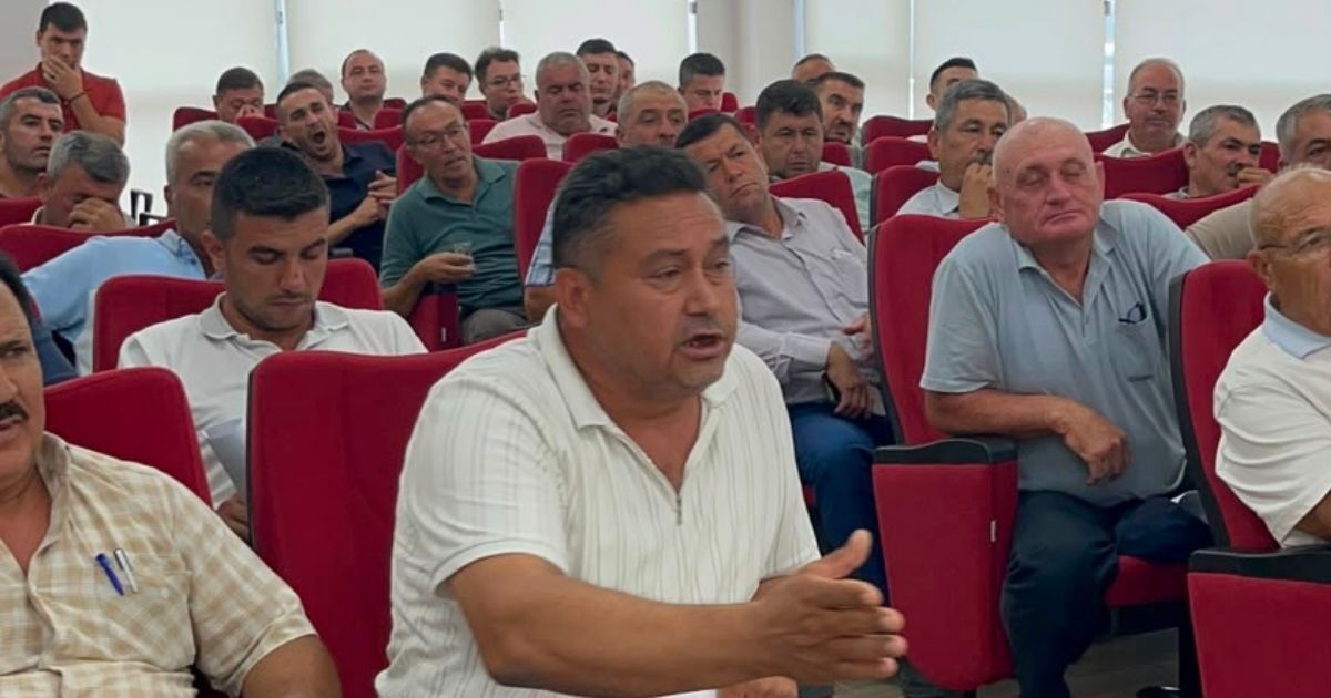 Bozdoğan