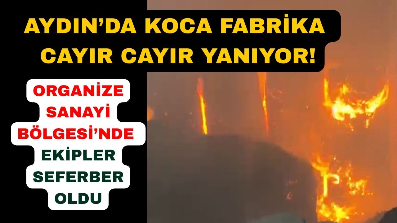 Söke