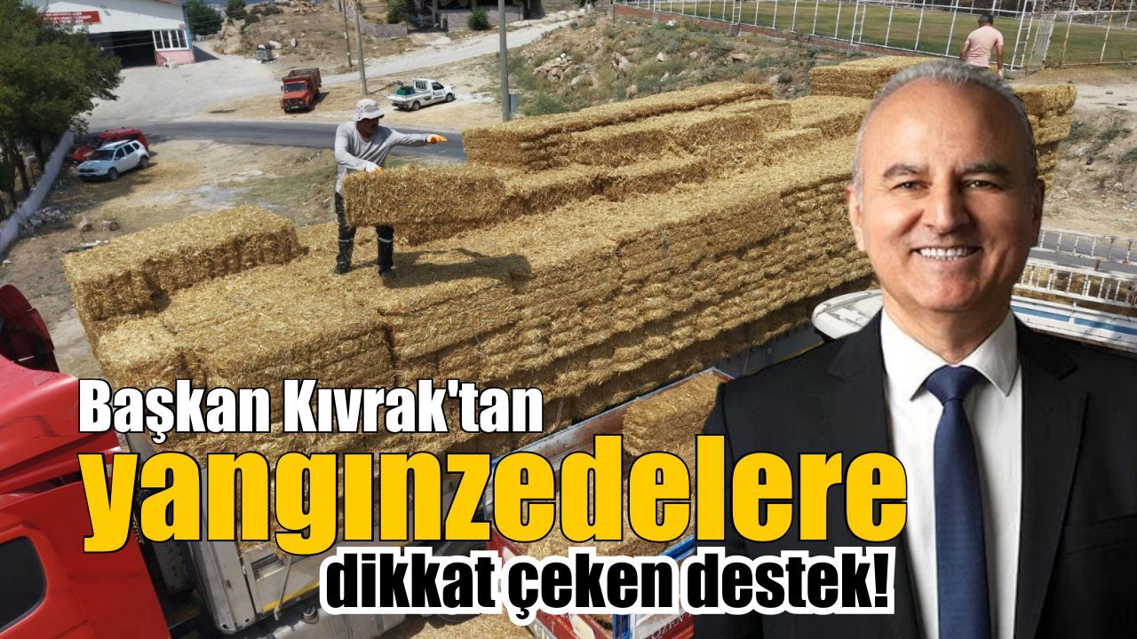Çine