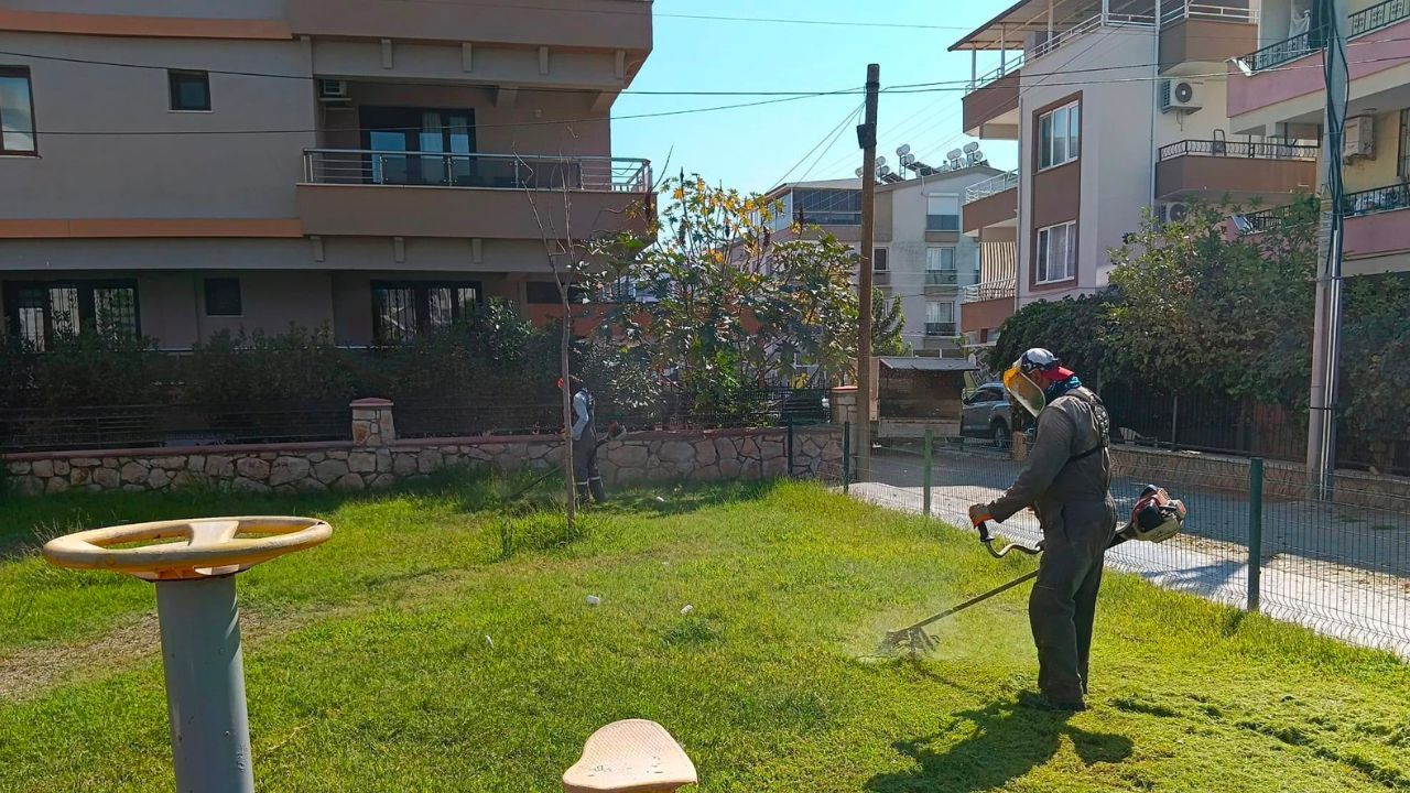 Didim’de Doğaya Dokunan Çalışma! Yeşil Alanlar Bakımdan Geçiyorg