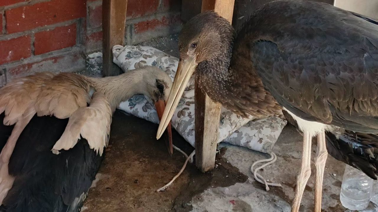 Kuşadası’nda Iki Kardeşten Biri Kayboldugerçek Sonradan Ortaya Çıktı1