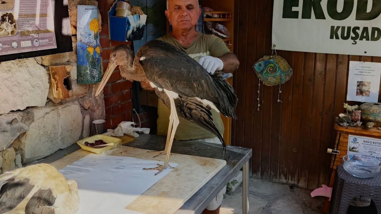 Kuşadası’nda Iki Kardeşten Biri Kayboldugerçek Sonradan Ortaya Çıktı2