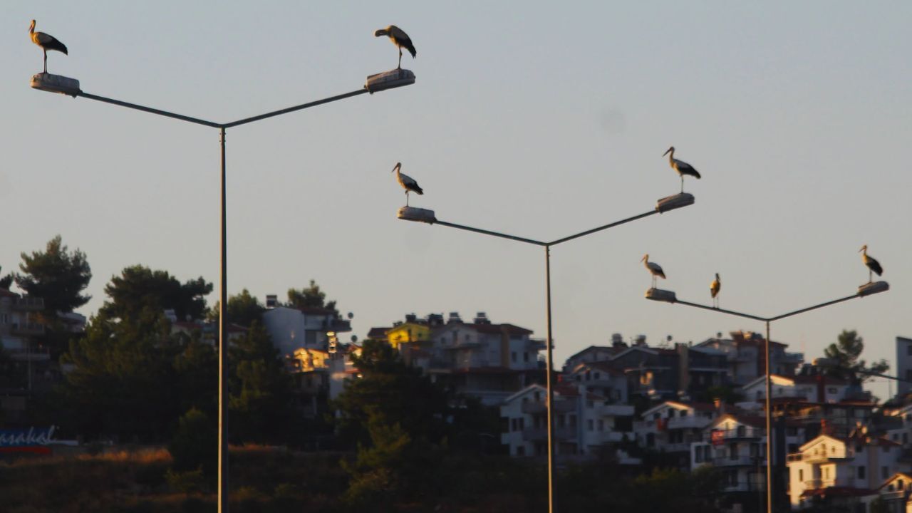 Kuşadası’nda Iki Kardeşten Biri Kayboldugerçek Sonradan Ortaya Çıktı4