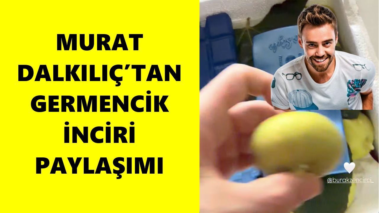 Murat Dalkılıç’ın paketinden Germencik çıktı! Başkan Zencirci’ye teşekkür etti