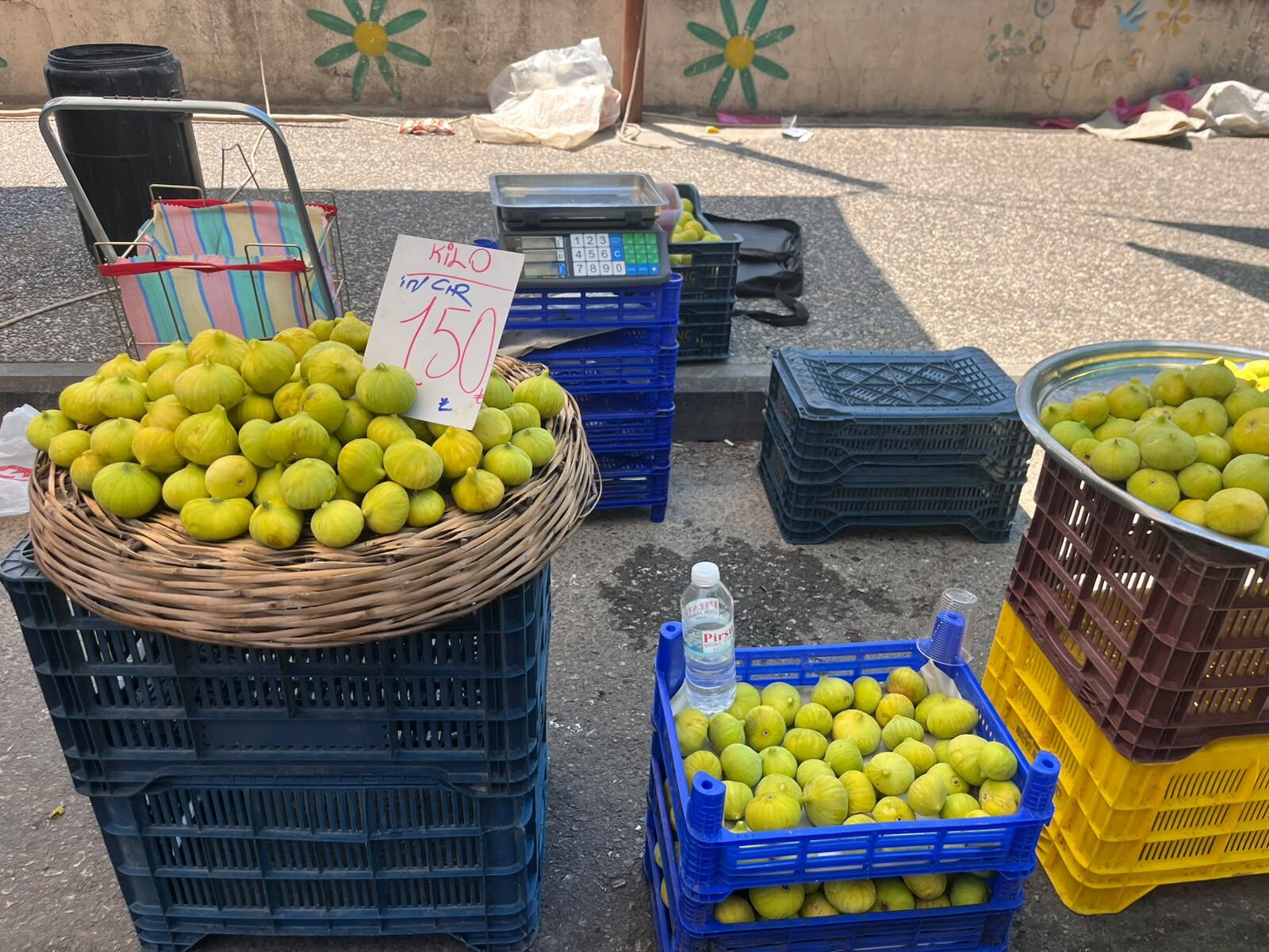 Sarı Lop