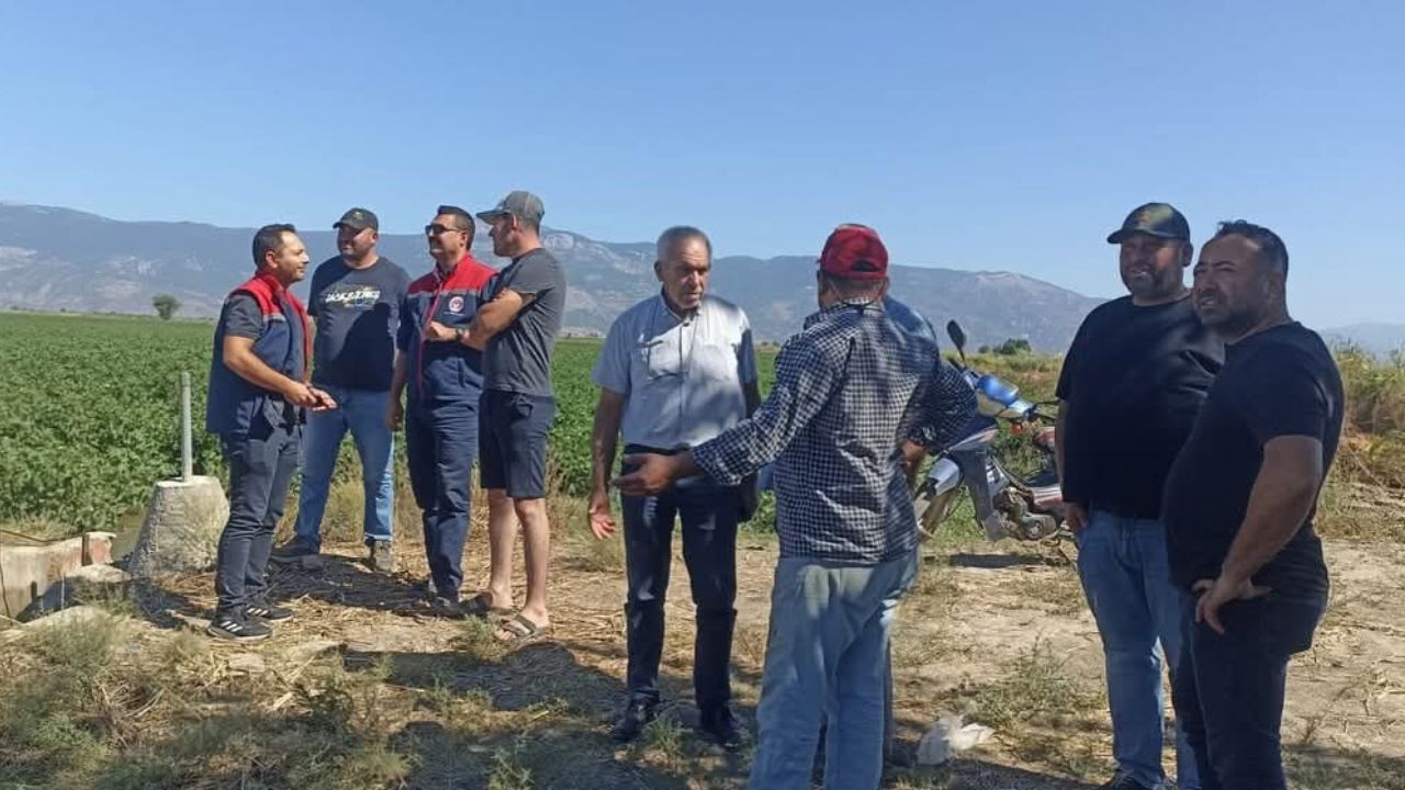 Söke Ovası’nda Ayçiçeği Hasadı Başladı! İlk Verim Yüz Güldürdü 3