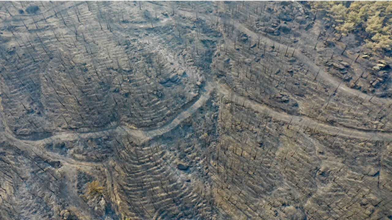 Yangın 2