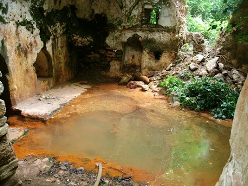 Yaşam