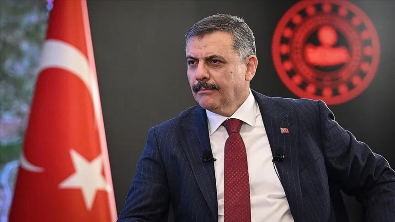 Eğitim