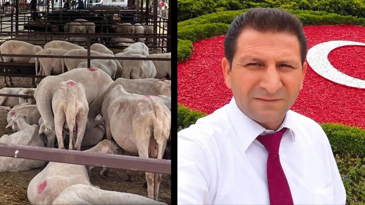 Aydın