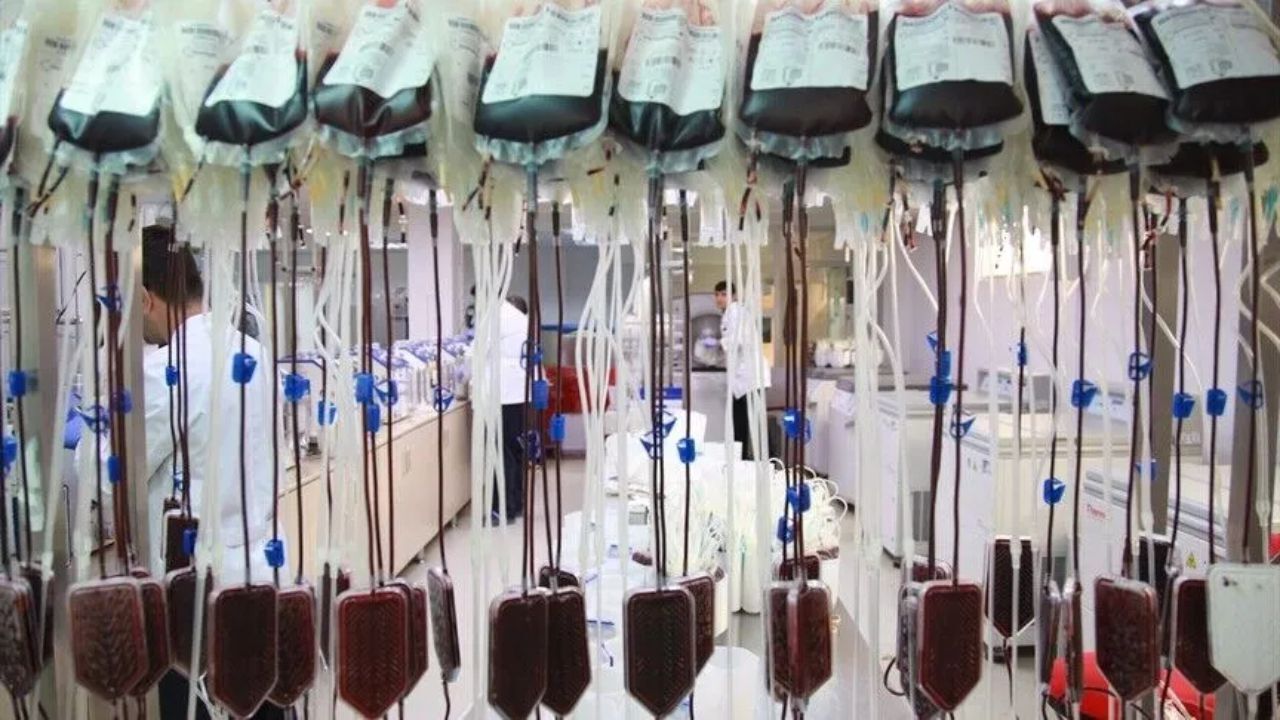 Bir bağış, bir umut! Kök hücre bağışçıları 1,25 milyonu aştı