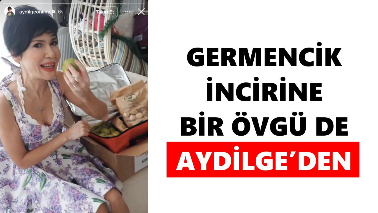 Germencik İnciri ünlülerin dilinde