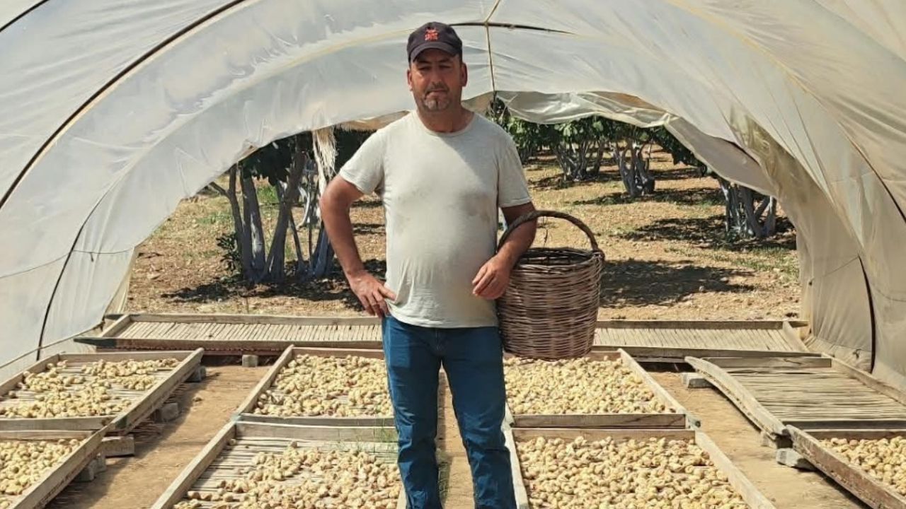 İncir Üreticisinin Bekleyişi Sürüyor Gözler Tariş’te1