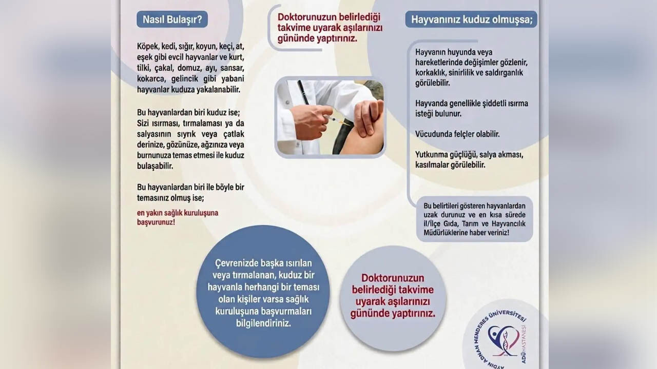 Kuduz Nedir Nasıl Bulaşır