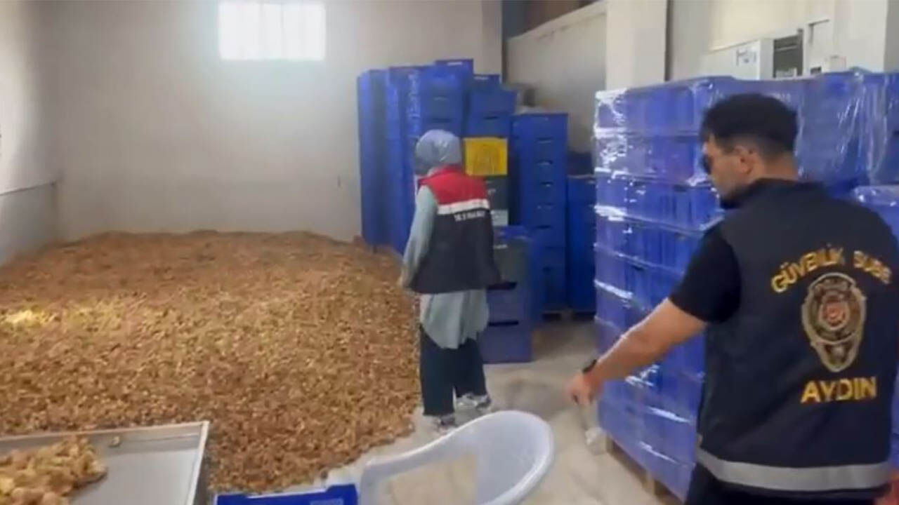 Aydın'da kuru incir operasyonu! Etiketsiz tonlarca incir ele geçirildi