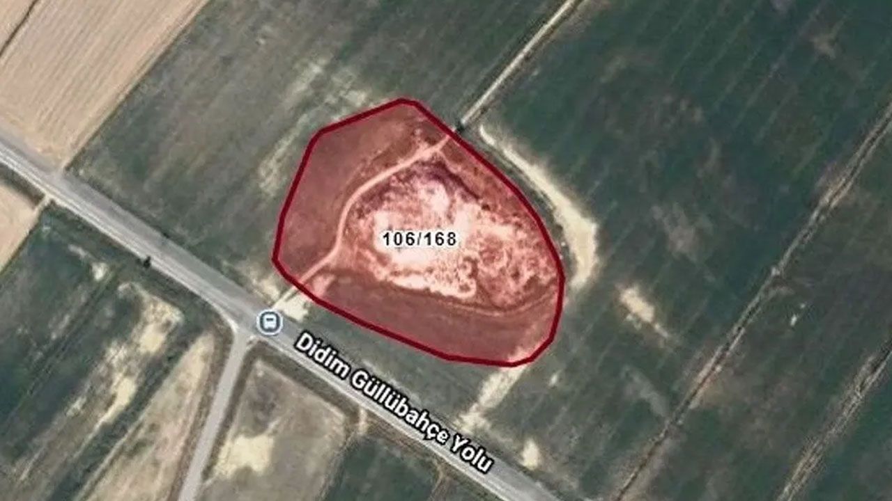 Aydın’da dev hazine arazisi satılacak! Fiyatı belli oldu