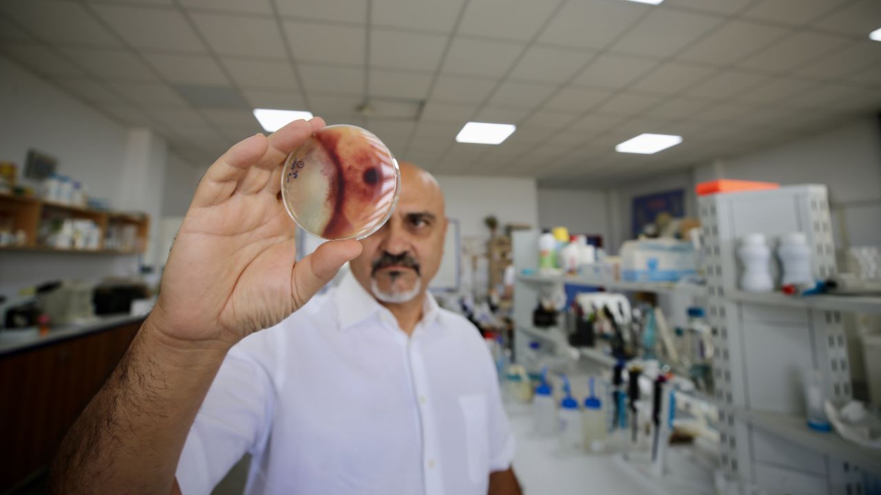 Böcek Kovucudan 100 Kat Etkili Keşif Aydın’dan 3