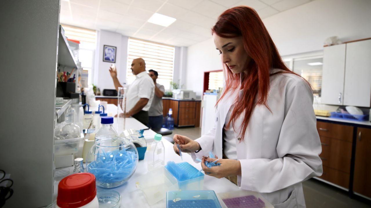 Böcek Kovucudan 100 Kat Etkili Keşif Aydın’dan 5