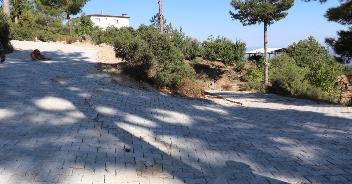 Bozdoğan