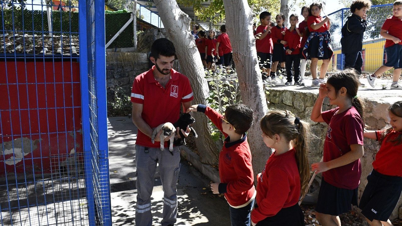 Kuşadası’nda 355 Öğrenciden Can Dostlara Anlamlı Ziyaret 4