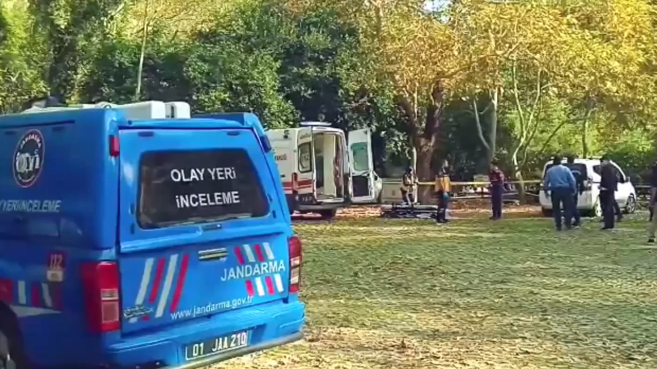 Asayiş